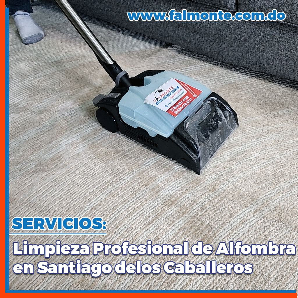 Limpieza Profesional de Alfombras en Santiago