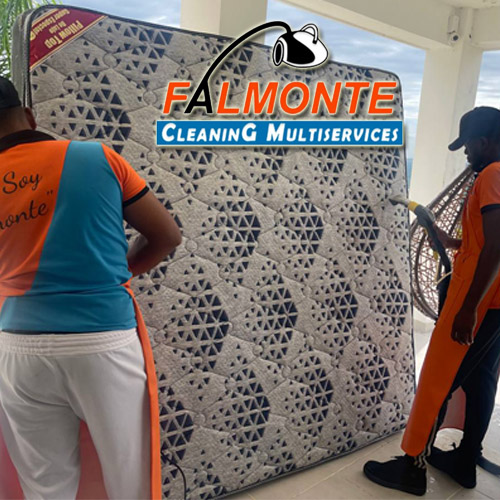 PROMOCIONES NAVIDEDES FALMONTE CLEANING MULTISERVICES SRL